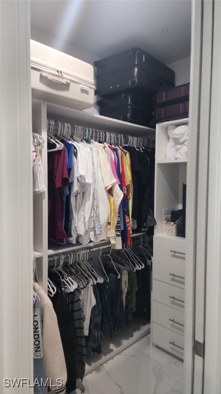 view of spacious closet