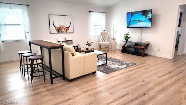 living room featuring light hardwood / wood-style floors and a healthy amount of sunlight