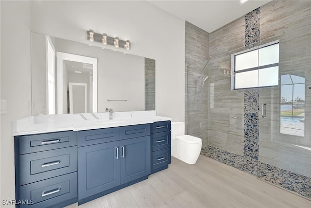 bathroom with vanity, toilet, and a shower with door