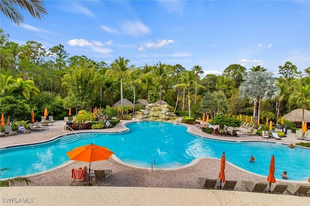 view of pool featuring a patio area