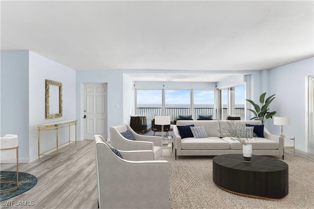 living room featuring light hardwood / wood-style flooring