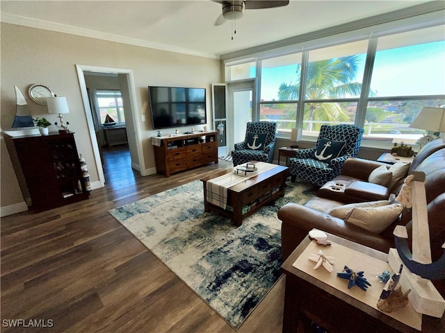 living room with ceiling fan, dark hardwood / wood-style flooring, and crown molding