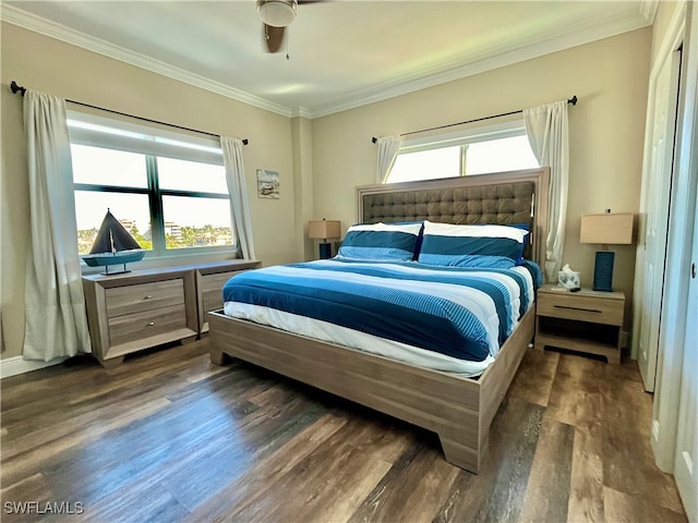 bedroom featuring crown molding, multiple windows, dark wood-type flooring, and ceiling fan