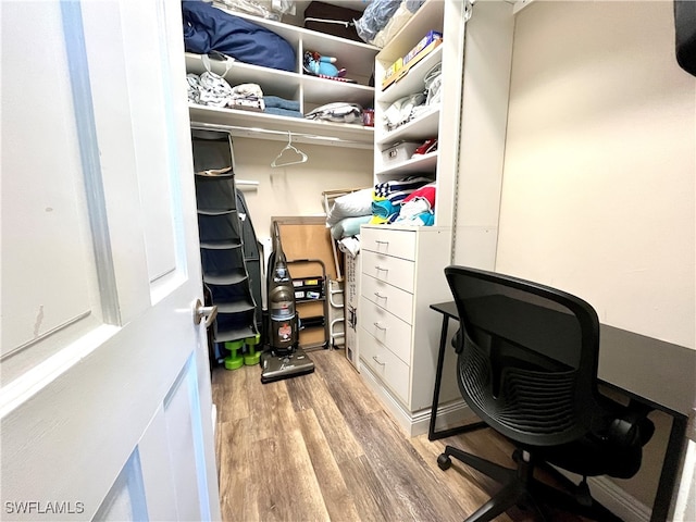 walk in closet with light wood-type flooring