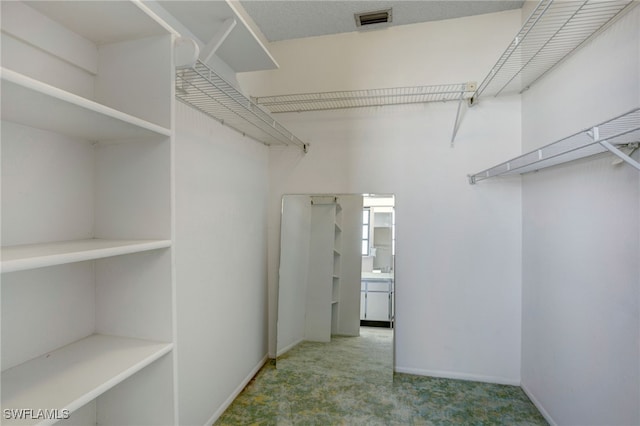 walk in closet with light carpet