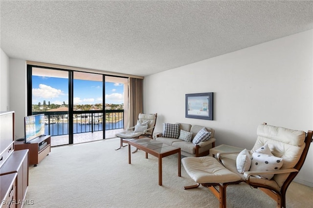 carpeted living room with a textured ceiling and floor to ceiling windows