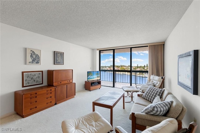 carpeted living room with expansive windows and a textured ceiling