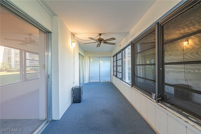 hallway with carpet floors