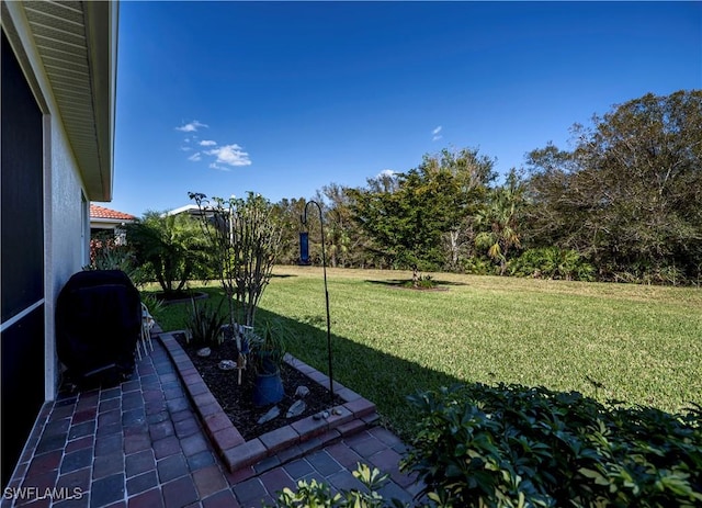 view of yard featuring a patio