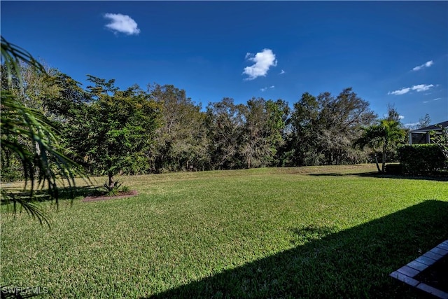 15140 Yellow Wood Dr, Alva, FL 33920 - view of green lawn