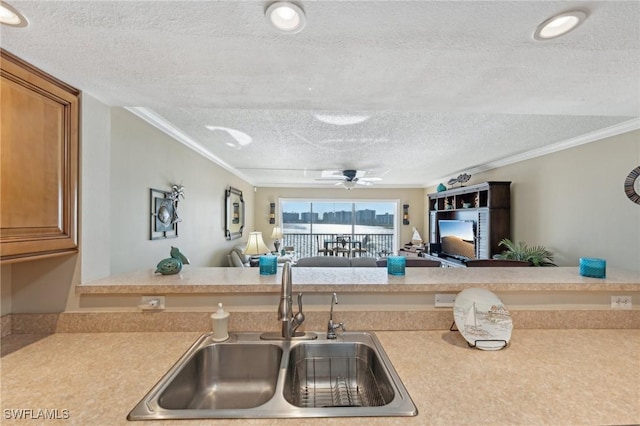 kitchen with a textured ceiling, ceiling fan, crown molding, and sink