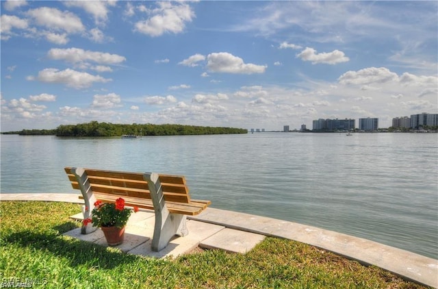 dock area featuring a water view