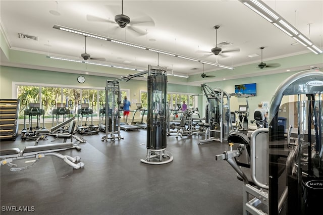 exercise room with ceiling fan and crown molding