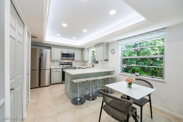 kitchen featuring kitchen peninsula, appliances with stainless steel finishes, gray cabinetry, a tray ceiling, and sink