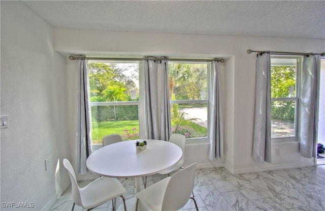 dining room with a textured ceiling and a wealth of natural light