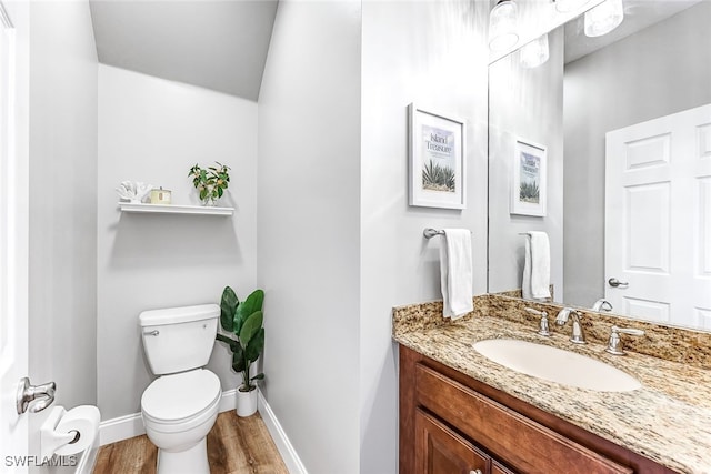 bathroom featuring vanity, wood-type flooring, and toilet