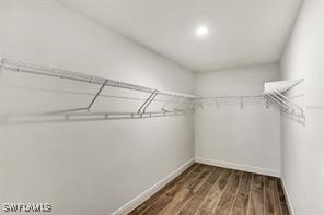 spacious closet featuring dark hardwood / wood-style flooring