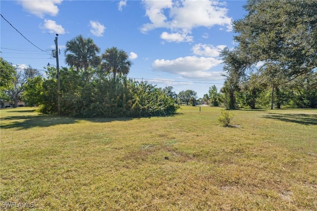 235 Thistle Ct, Lehigh Acres, FL 33936 - view of green lawn