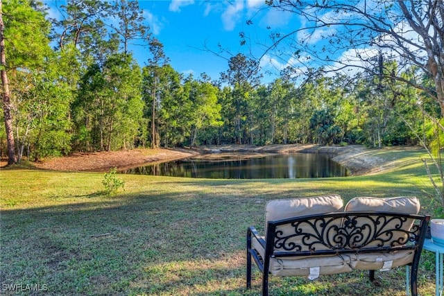 view of home's community with a water view and a yard