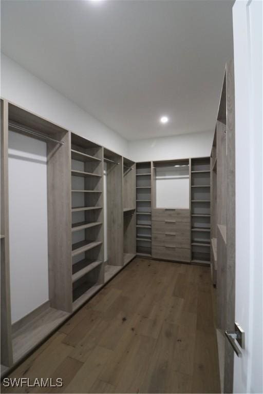 walk in closet featuring wood finished floors