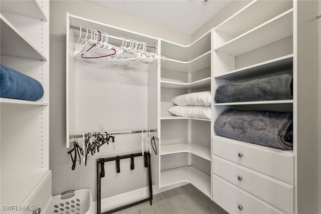 spacious closet with light hardwood / wood-style flooring