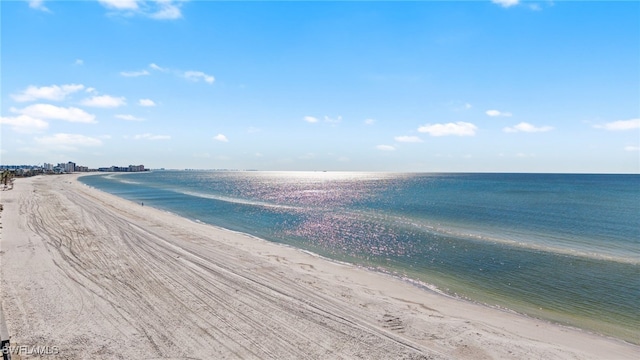 view of water feature featuring a view of the beach