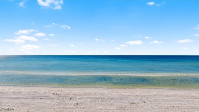 view of water feature featuring a beach view