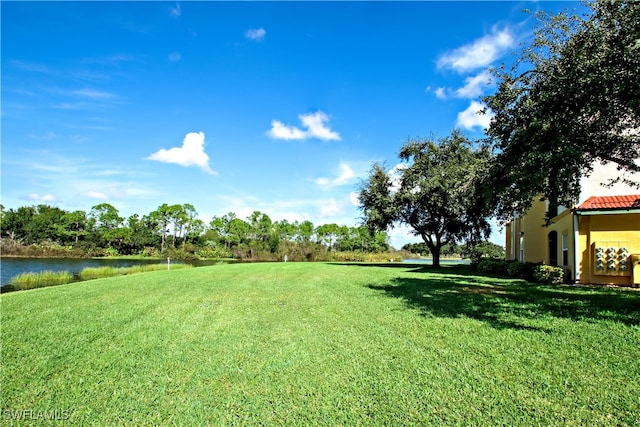 view of yard with a water view