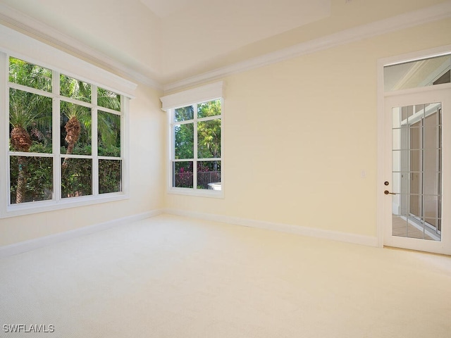 carpeted empty room featuring crown molding