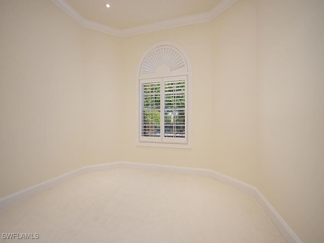 spare room with carpet and crown molding