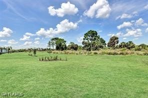 view of yard with a rural view