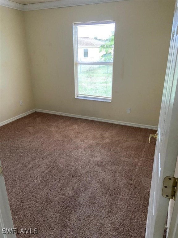 spare room with carpet flooring and ornamental molding