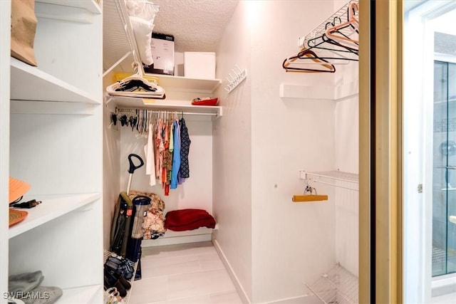 view of walk in closet