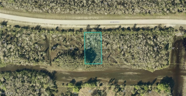 441 Greenbriar Blvd, Lehigh Acres FL, 33972 land for sale