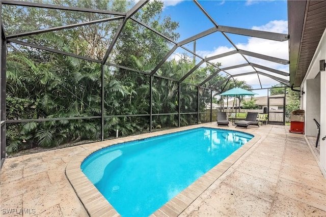 view of swimming pool with a patio and a lanai