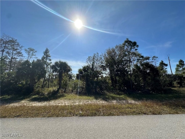 497 Greenbriar Blvd, Lehigh Acres FL, 33972 land for sale