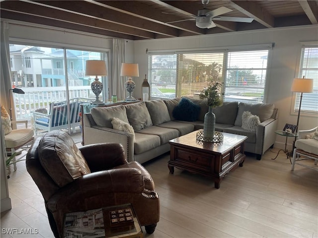 living room featuring ceiling fan, light wood-type flooring, and beam ceiling