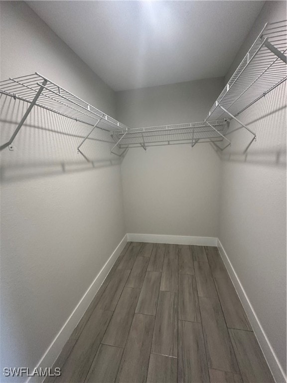 spacious closet with dark hardwood / wood-style flooring