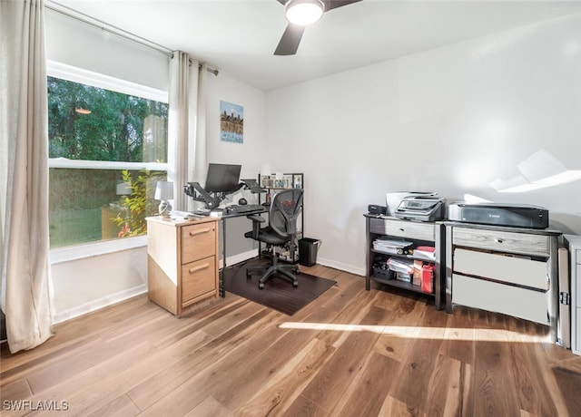 office area featuring ceiling fan and light hardwood / wood-style flooring