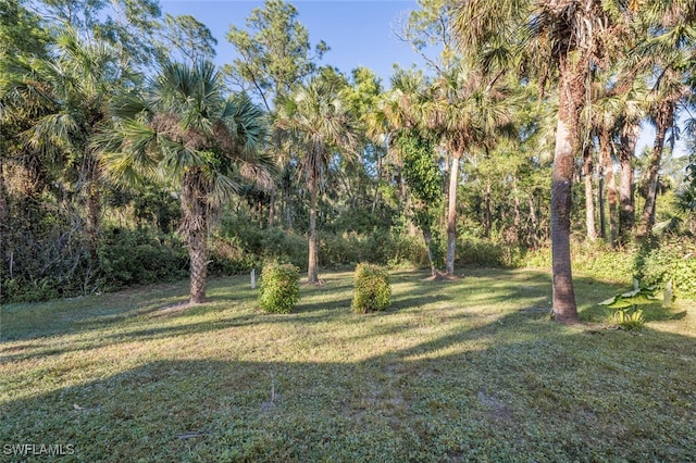 3671 8th Ave SE, Naples, FL 34117 - view of green lawn