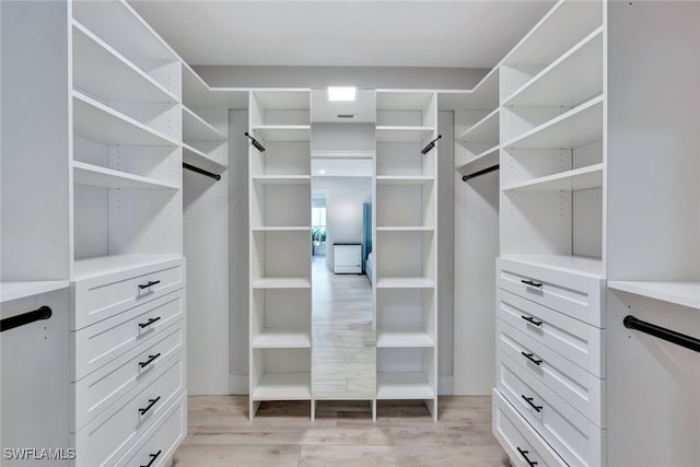 spacious closet featuring light hardwood / wood-style floors