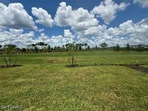 view of yard featuring a rural view