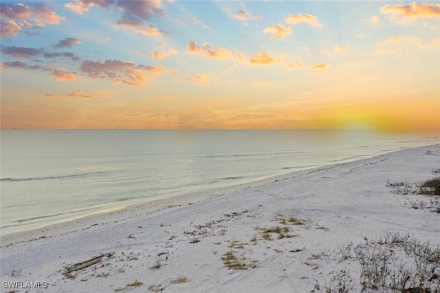 property view of water featuring a view of the beach