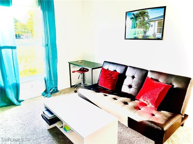 view of carpeted living room