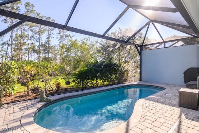 view of pool featuring a lanai and a patio area