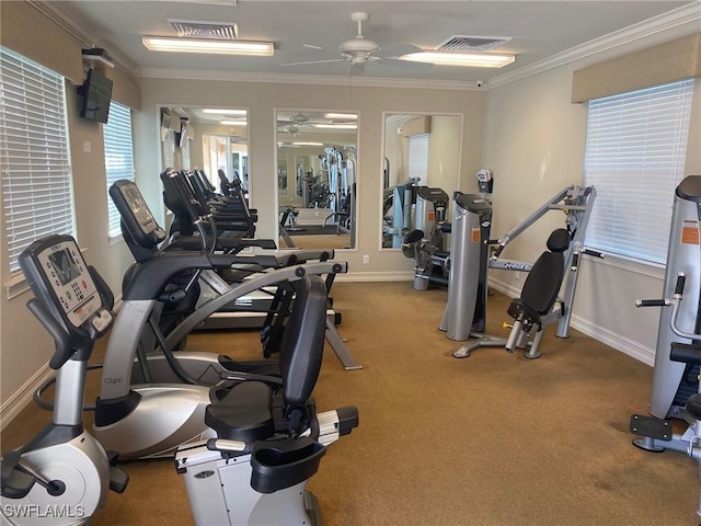 workout area with carpet flooring, ceiling fan, and crown molding