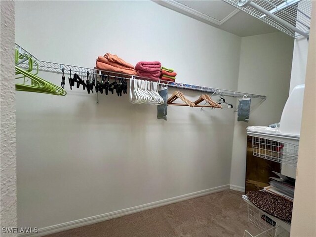 spacious closet with carpet floors