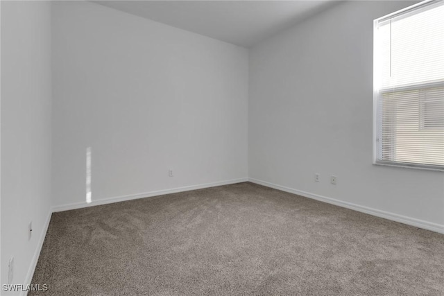 carpeted spare room with a wealth of natural light