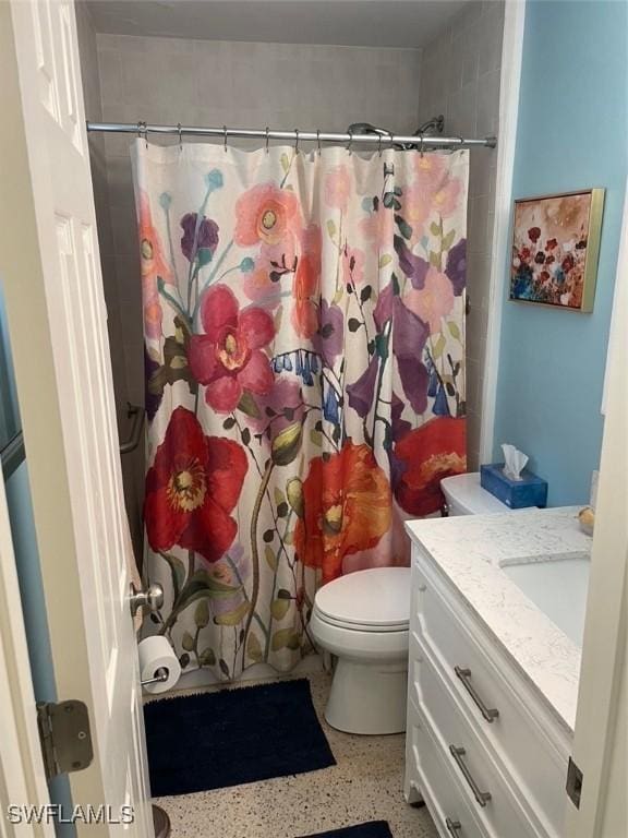 bathroom featuring toilet, vanity, and curtained shower