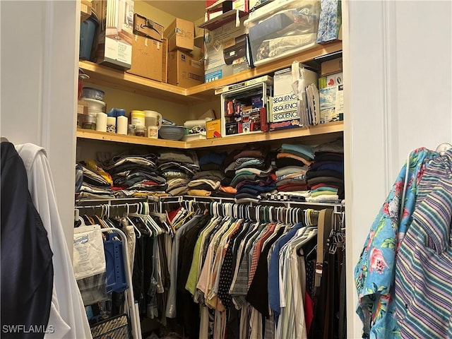 view of closet